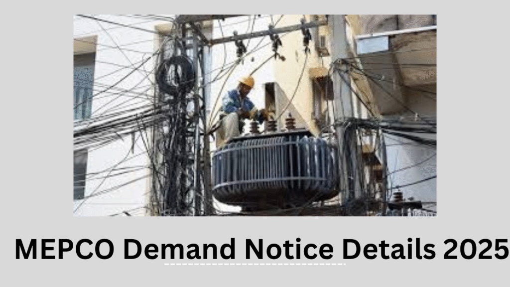 MEPCO Demand Notice Details 2025 1 MEPCO Demand Notice Details 2025